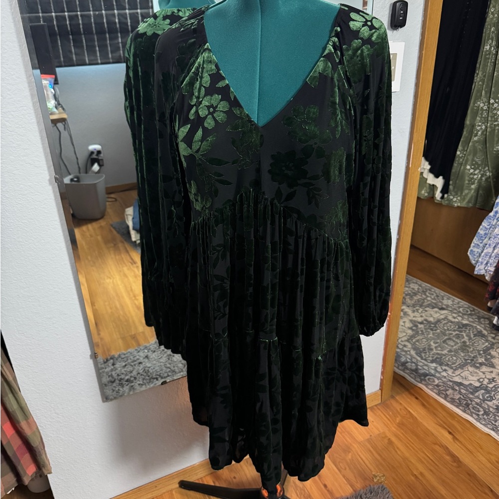 Taylor Floral Sheer Velvet Burnout Vee Neck Long-Sleeve Dress